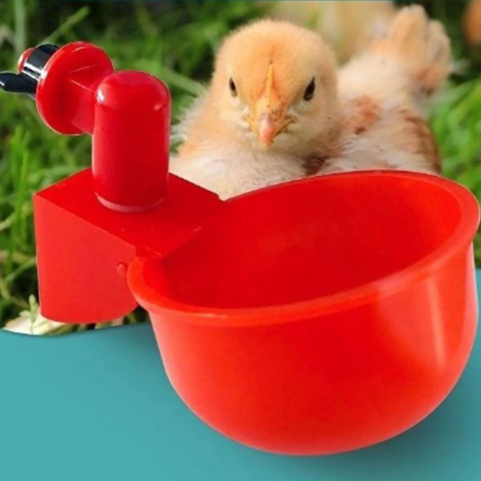 6-36Pcs Chicken Duck Drinking  - огляд і ціна Chicken Nipple Drinker