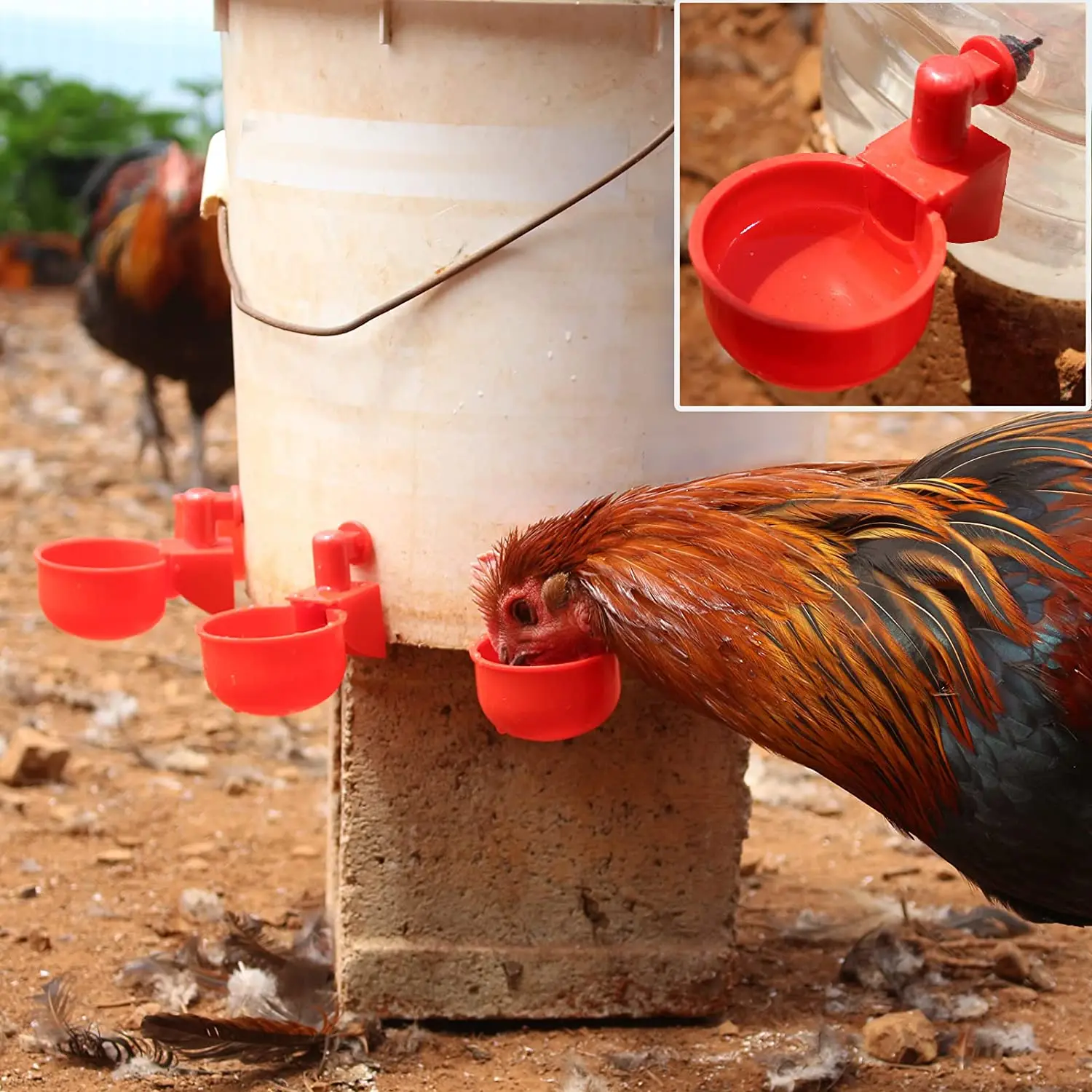 6-36Pcs Chicken Duck Drinking  - огляд і ціна Chicken Nipple Drinker