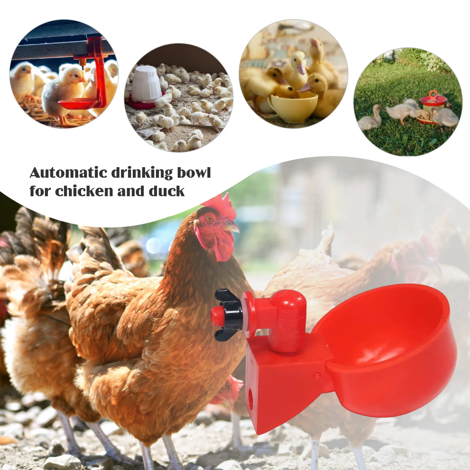 6-36Pcs Chicken Duck Drinking  - огляд і ціна Chicken Nipple Drinker