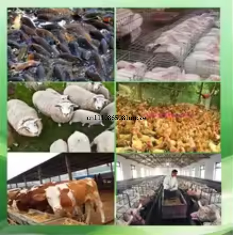 100kg/h-120kg/h Multi-function - огляд і ціна Wood Pellet Making Machine