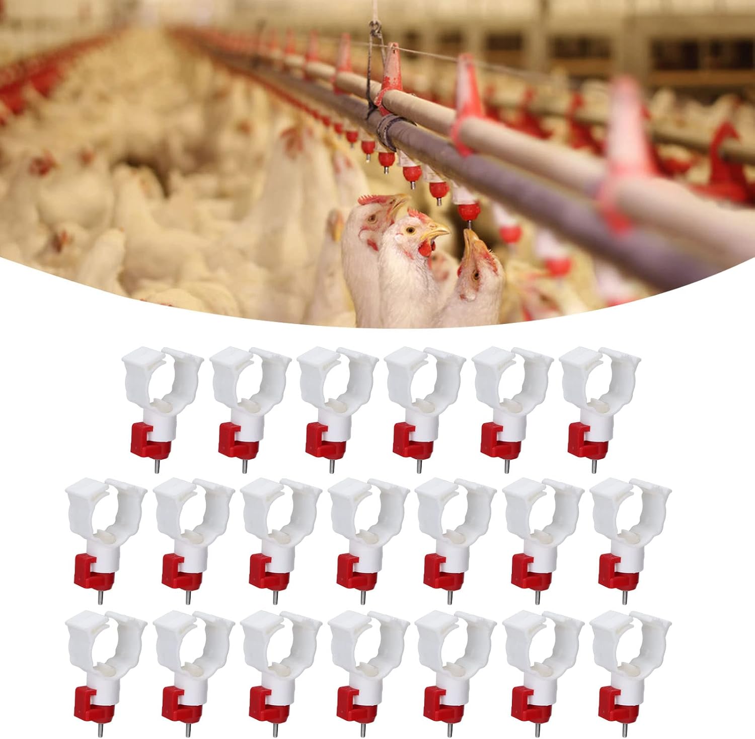 High Quality 20PCS Chicken Nip - огляд і ціна Chicken Nipple Drinker