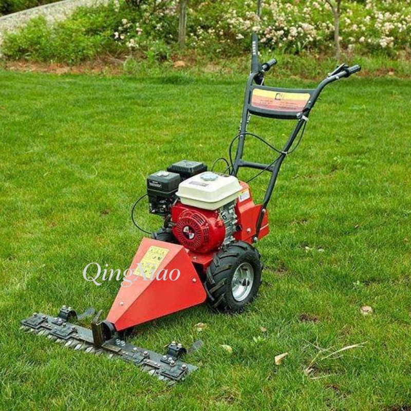 6.5Hp Four Stroke Wheeled Gras - огляд і ціна Farming And Agriculture Jobs